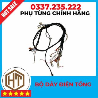 Dây diện tổng xe điện Xmen,gogo,vespa ,133m,133s