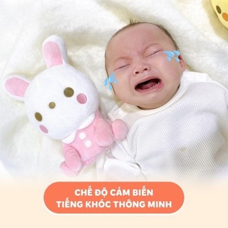 Combi Đồ chơi Thỏ bông thân thiện Combi