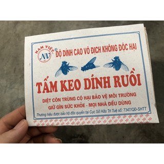 Tấm keo dính ruồi nhặng Nam Việt 10 cái siêu dính