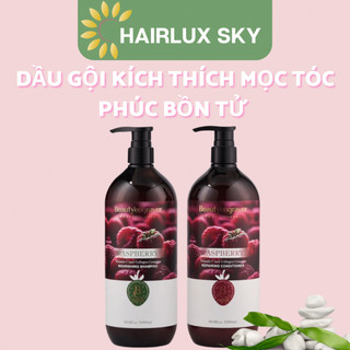 Dầu gội xả phúc bồn tử raspberry phục hồi tóc xơ yếu, giảm rụng tóc, kích thích mọc tóc 1000ml