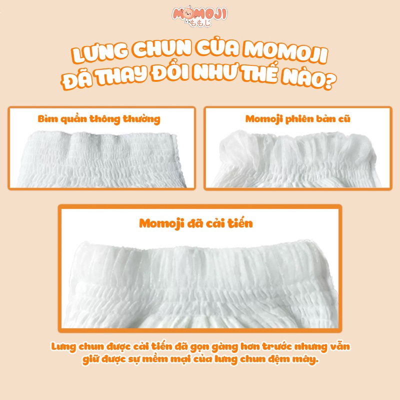 BỈM QUẦN/ DÁN MOMOJI NB64/S60/M56L54/XL50/XXL48