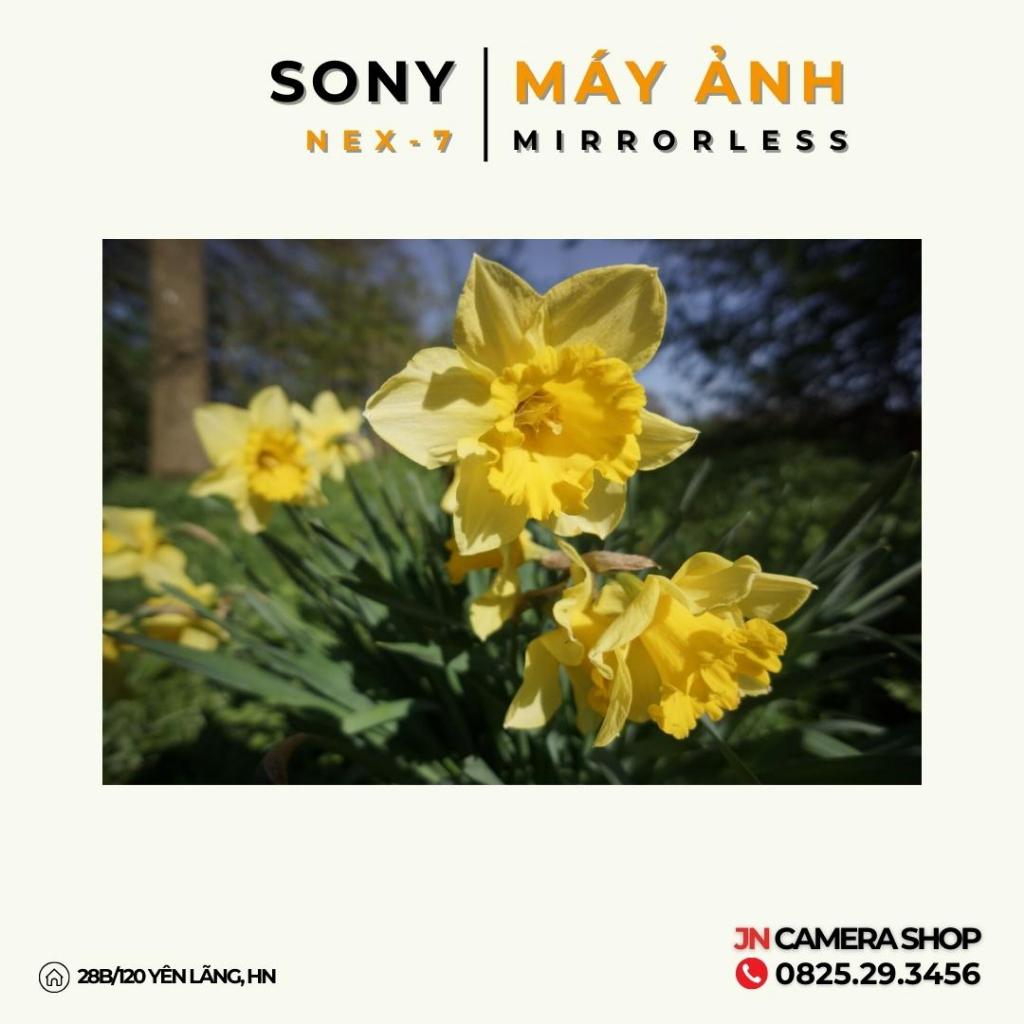 Máy ảnh Mirrorless SONY NEX-7 + Lens Kit