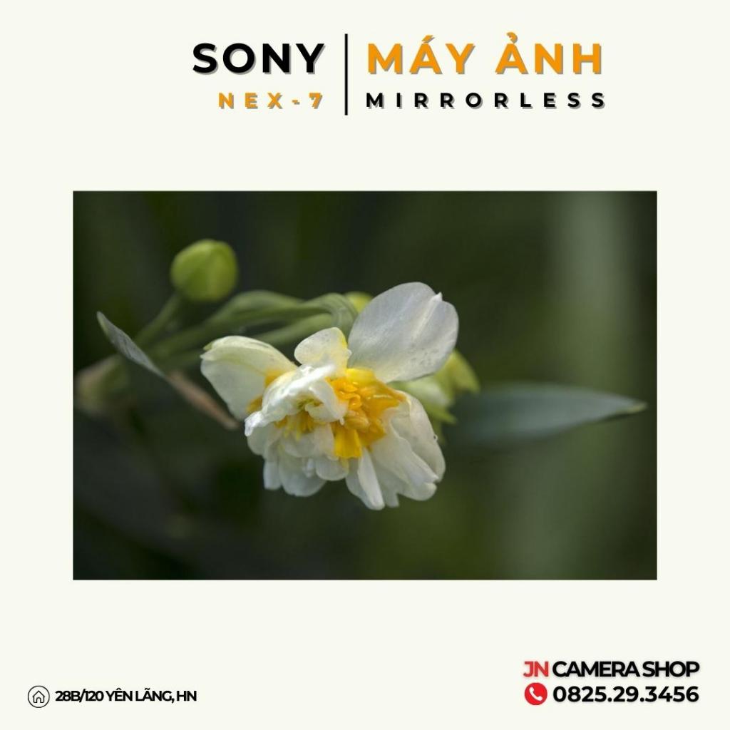 Máy ảnh Mirrorless SONY NEX-7 + Lens Kit