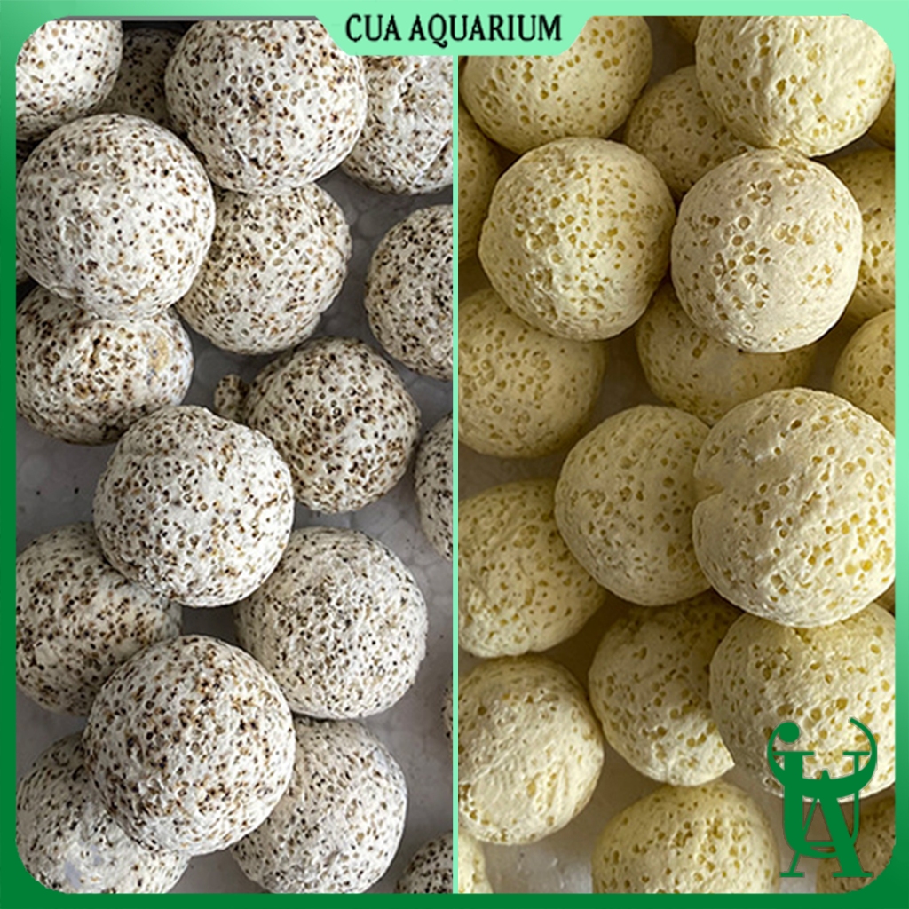 Sứ bi vàng , sứ bi mè , sứ muối tiêu lọc bể cá | Vật liệu lọc Sứ viên