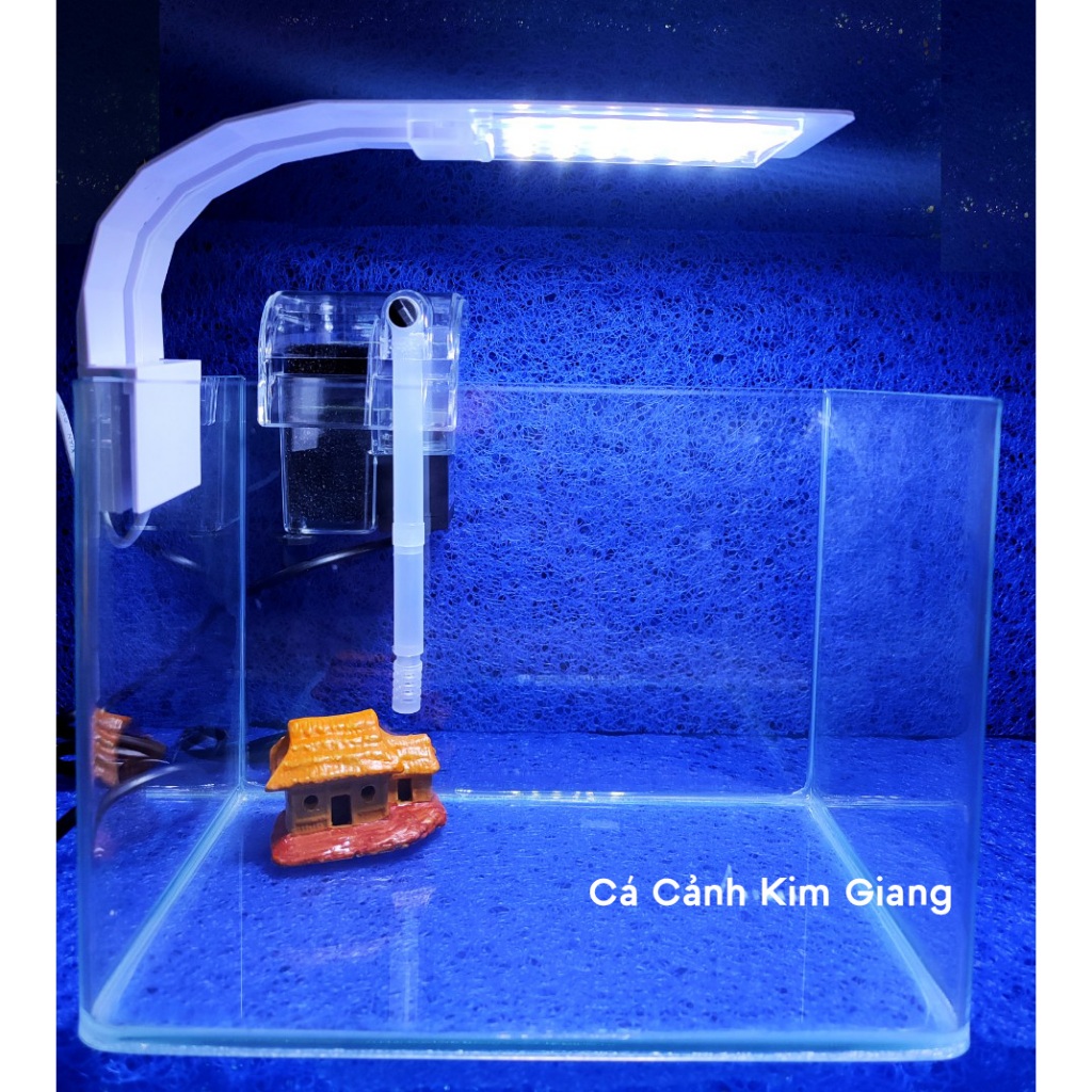 Combo Bể mini Để bàn Kích Thước 25x16x18cm