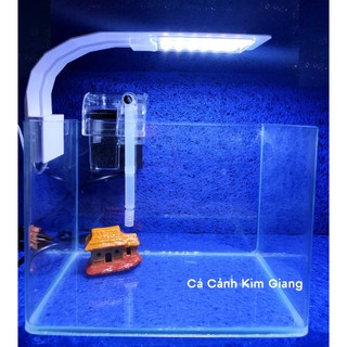 Combo bể mini để bàn kích thước 25x16x18cm