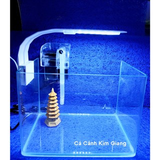 Combo Bể mini Để bàn Kích Thước 25x16x18cm