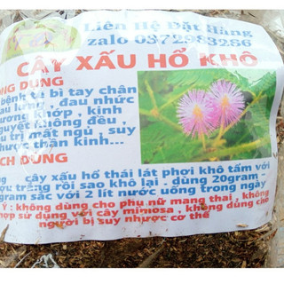 100g cây xấu hổ khô