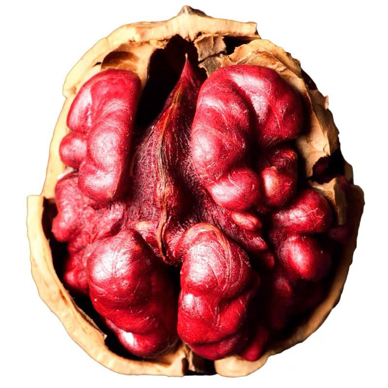 1KG QUẢ ÓC CHÓ ĐỎ MỸ