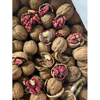1KG QUẢ ÓC CHÓ ĐỎ MỸ