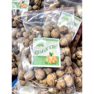 1KG QUẢ ÓC CHÓ ĐỎ MỸ