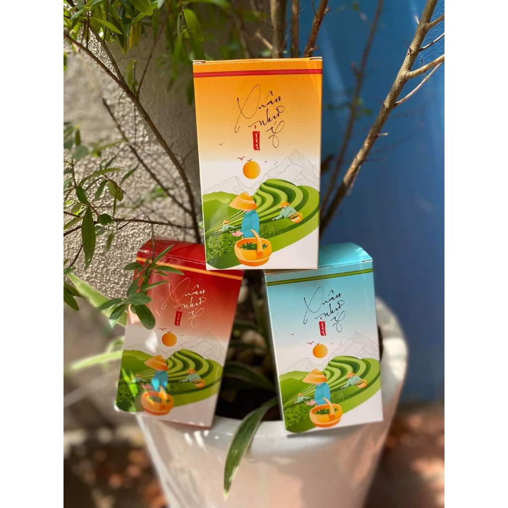 Vỏ Hộp đựng trà, chè spring tea đóng giỏ quà tết sang trọng 2024
