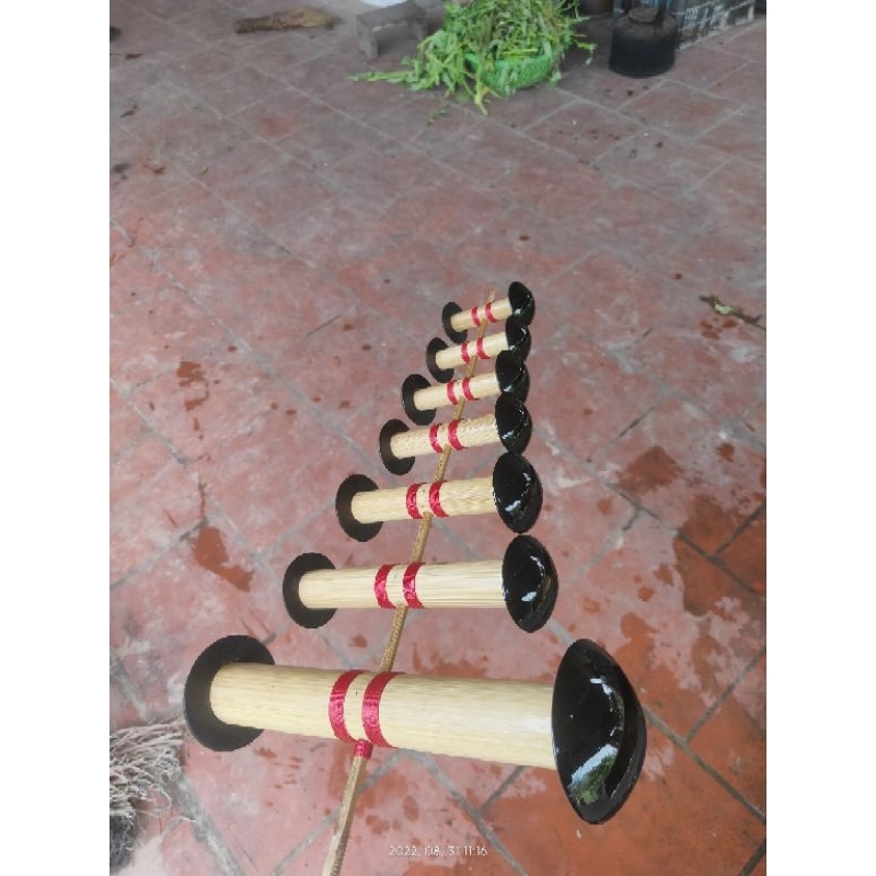 Bò d30/35/ 40hàng đẹp