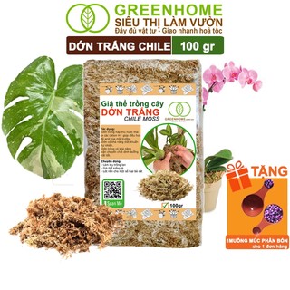 Dớn Trắng Chile Greenhome, Newzita, Gói 100gr, Đã Qua Xử Lý, Giá Thể, Giữ Ẩm Tốt, Kháng Khuẩn