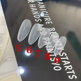 Móng bầu nhám trong bán lẻ size 5-6-7-8-9