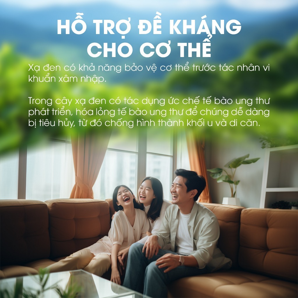 Trà Gạo Lứt xạ đen QUÊ VIỆT , Đậu Đen xanh lòng, Hoa Nhài, Cỏ Ngọt, xạ đen Hộp 30 Túi Lọc