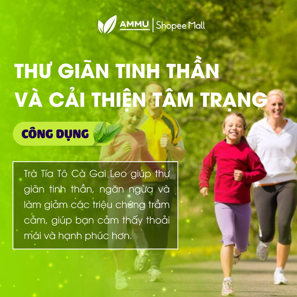 Trà cà gai leo tía tô Sadu giúp thanh lọc cơ thể mát gán sáng da ngừa mụn giảm lão hóa 250g