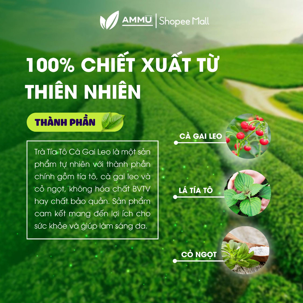 Trà cà gai leo tía tô Sadu giúp thanh lọc cơ thể mát gán sáng da ngừa mụn giảm lão hóa 250g