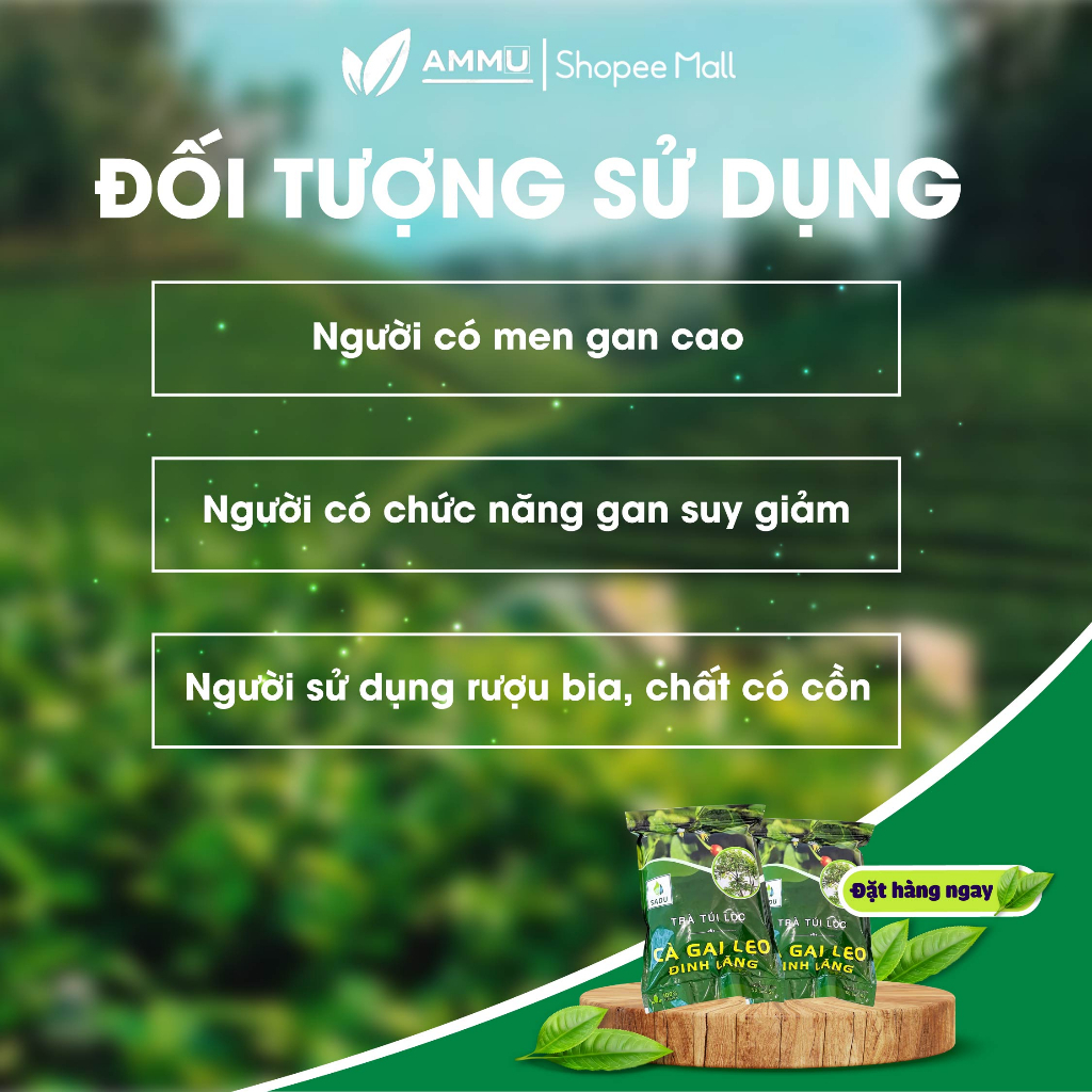 Trà cà gai leo Đinh Lăng túi lọc sadu thảo mộc giúp mát gan 250g