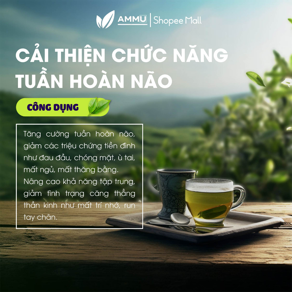 Trà cà gai leo Đinh Lăng túi lọc sadu thảo mộc giúp mát gan 250g