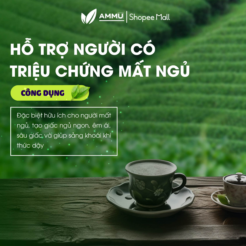 Trà cà gai leo Đinh Lăng túi lọc sadu thảo mộc giúp mát gan 250g