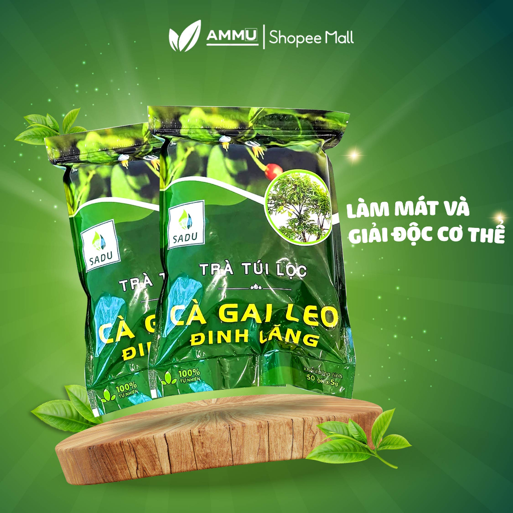Trà cà gai leo Đinh Lăng túi lọc sadu thảo mộc giúp mát gan 250g