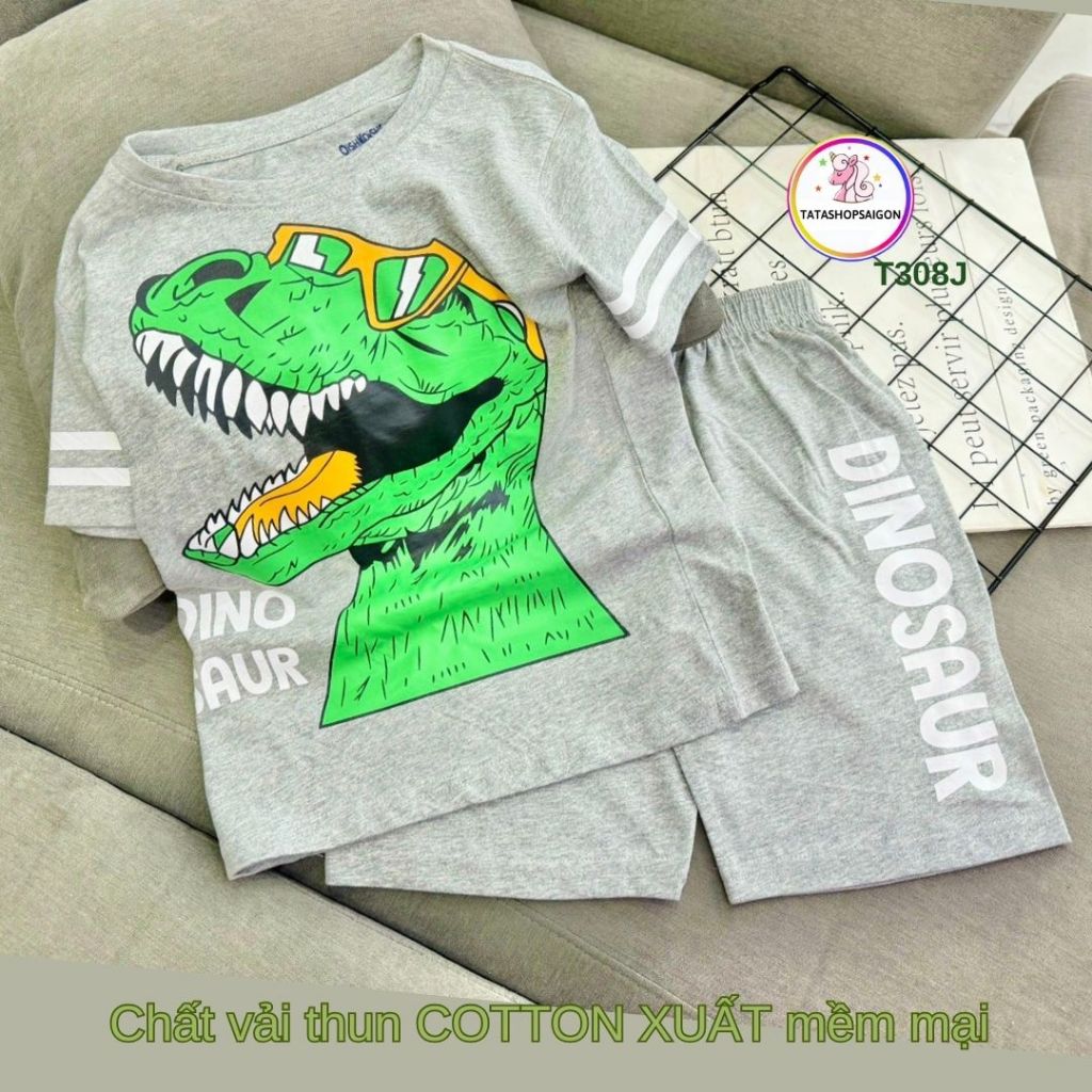 Bộ đùi bé trai size đại phong cách thể thao chất cotton mát mùa hè T308