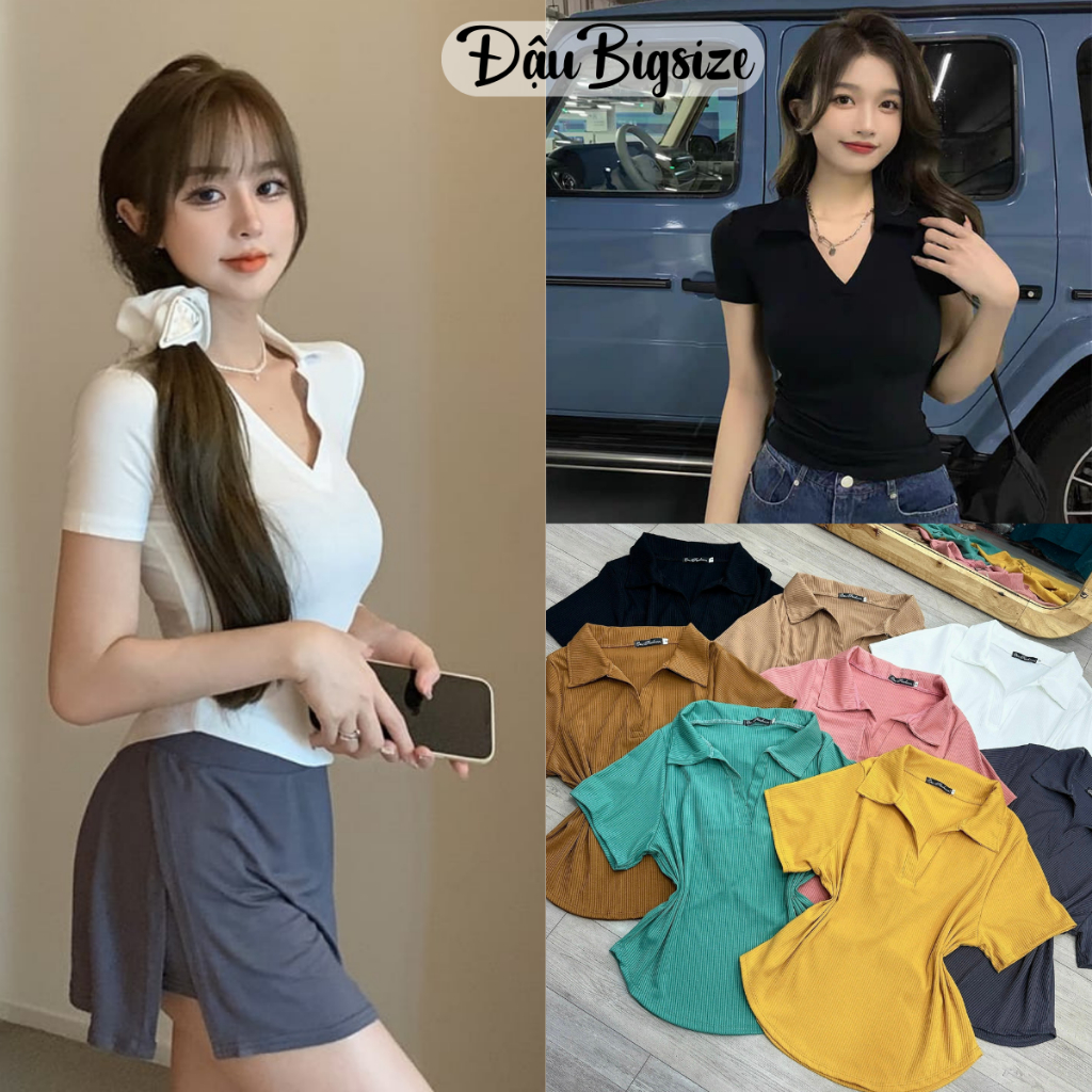 Áo PoLo Croptop Bigsize Nữ(58kg-95kg),Áo Thun Tay Ngắn Kiểu Vạc Bầu Cổ Trụ Chất Thun GânTăm Mặc Mát 