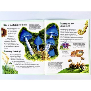 Sách - Combo Em Muốn Biết Vì Sao 4 Cuốn