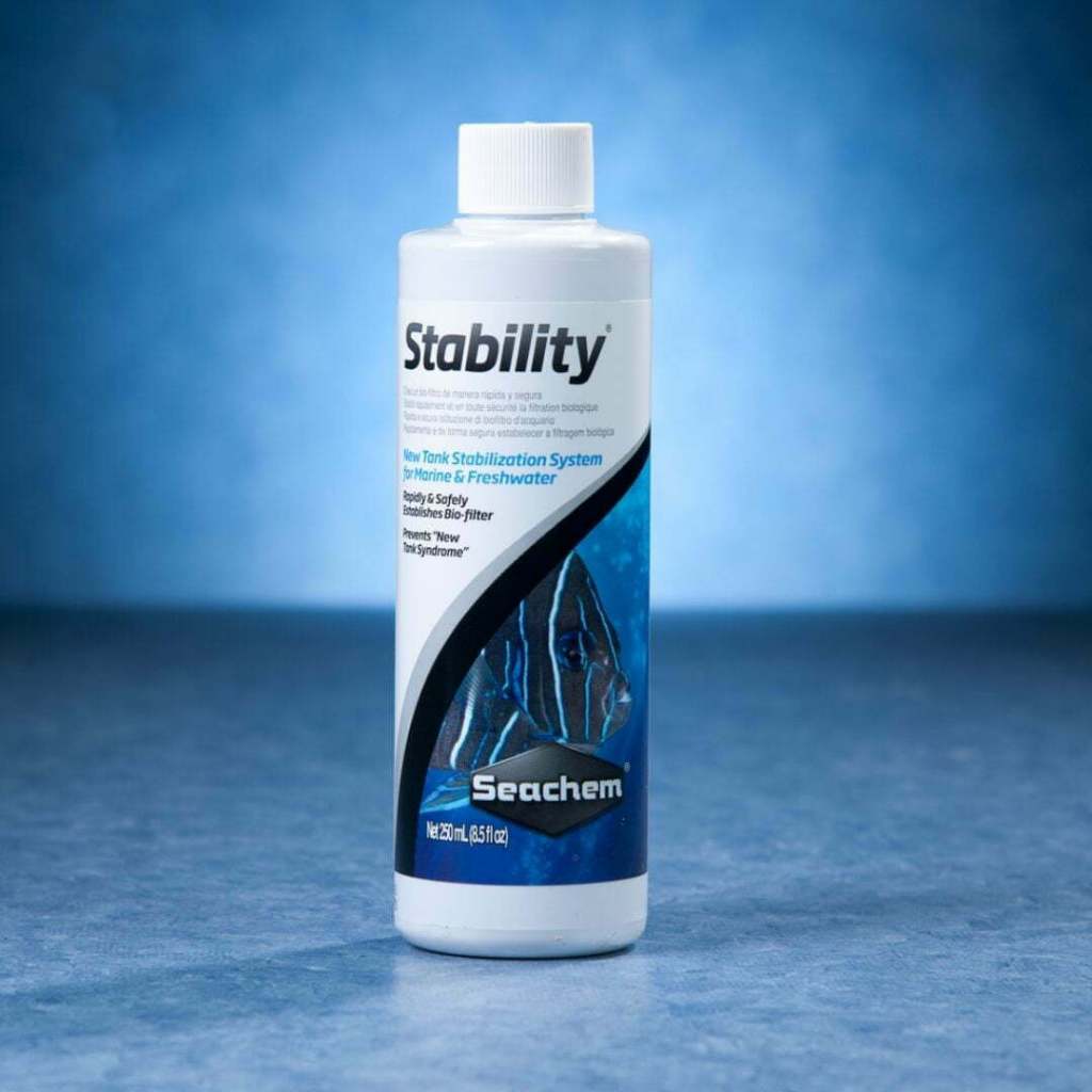 Vi sinh Seachem Stability , tái tạo hệ vi sinh hiệu quả