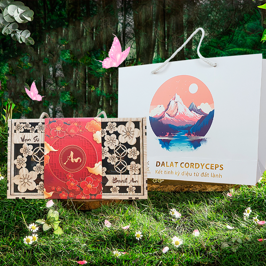 Set quà sức khoẻ Vạn An - Dalat Cordyceps - Đông trùng hạ thảo, saffron, linh chi, thảo mộc thiên nhiên