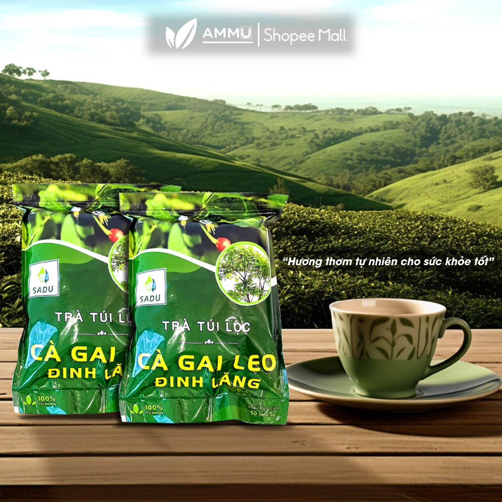 Trà cà gai leo Đinh Lăng túi lọc sadu thảo mộc giúp mát gan 250g