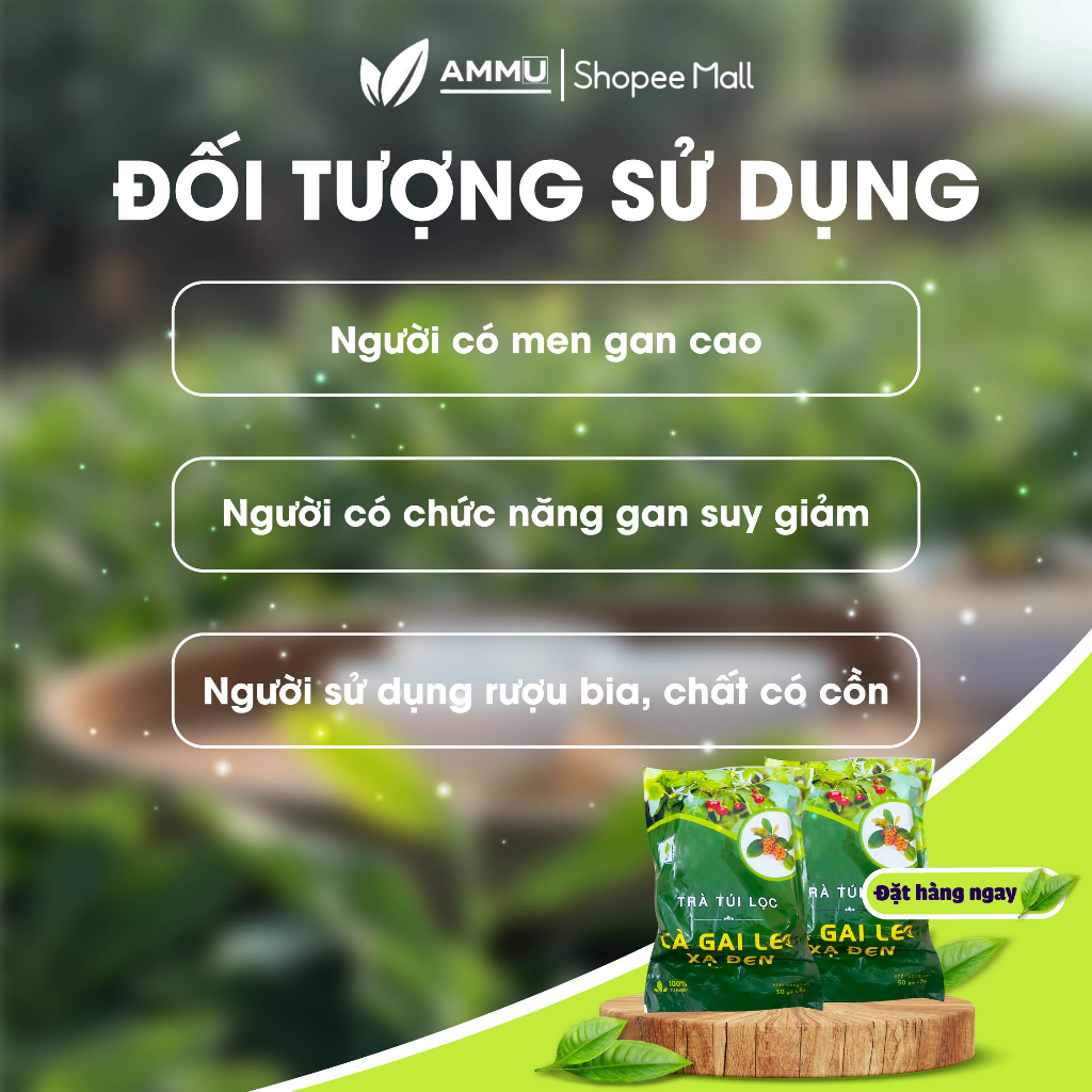 Trà cà gai leo xạ đen túi lọc sadu túi lọc mát gan giải độc thanh lọc cơ thể 250g