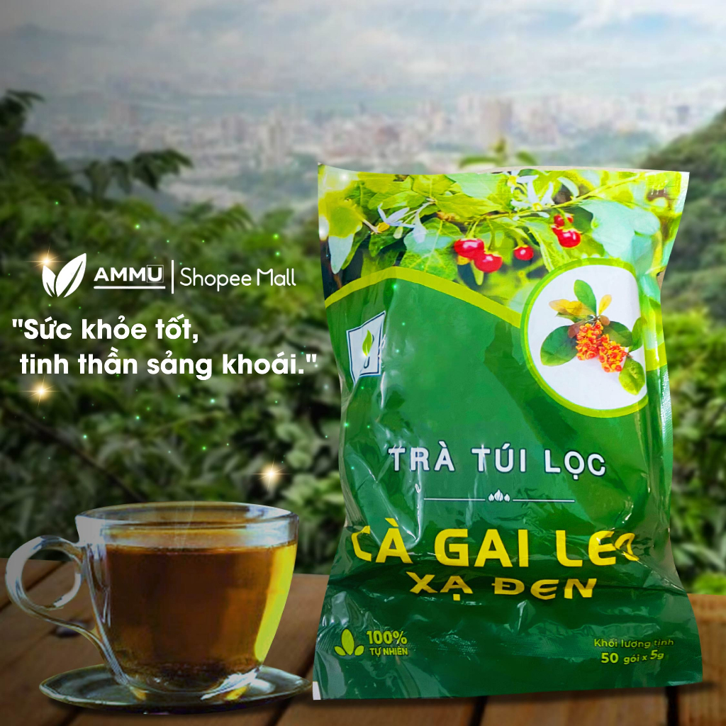 Trà cà gai leo xạ đen túi lọc sadu túi lọc mát gan giải độc thanh lọc cơ thể 250g