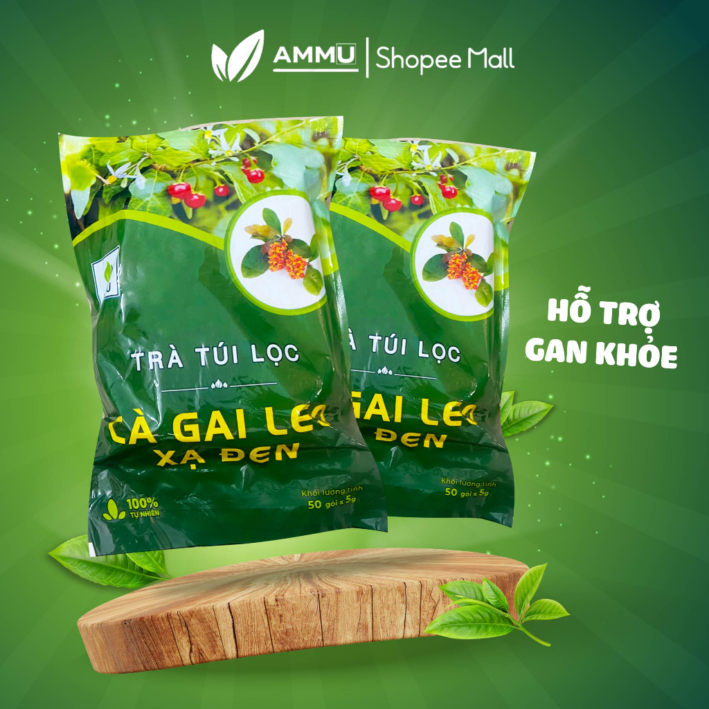 Trà cà gai leo xạ đen túi lọc sadu túi lọc mát gan giải độc thanh lọc cơ thể 250g