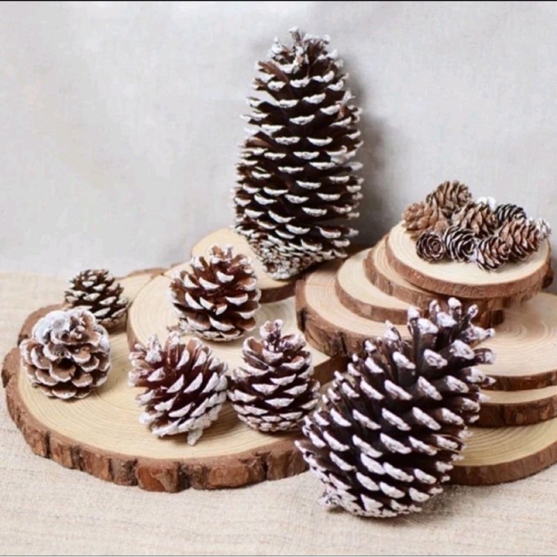 Quả thông trang trí size to 5cm, phụ kiện trang trí giáng sinh, trang trí cây thông noel