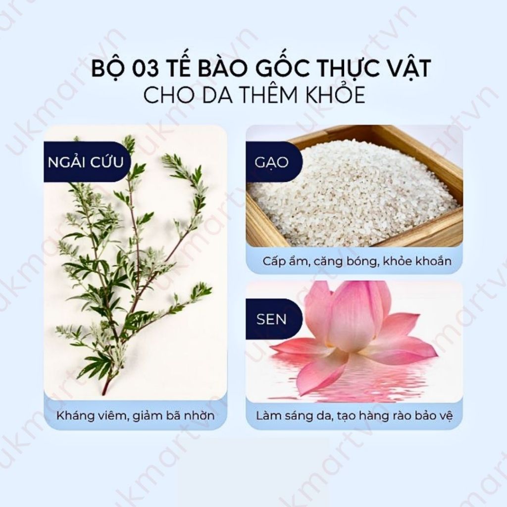 Combo 10 Miếng Mặt Nạ Giấy Banobagi Mask Stem Cell Vitamin 30g