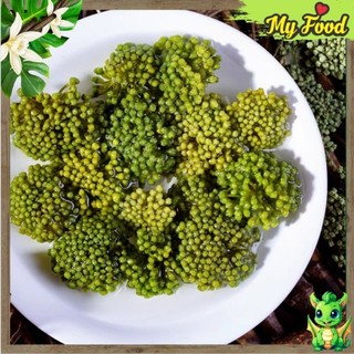100G NỤ HOA TAM THẤT