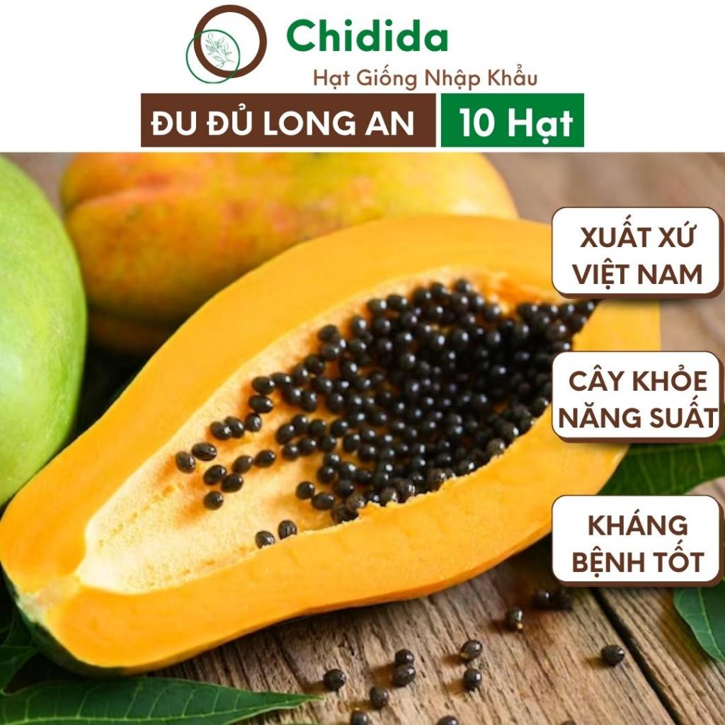 Hạt giống đu đủ ruột vàng Chidida giống cây lùn Long An gói 10 hạt siêu trái từ 2kg đến 4kg siêu ngọt năng suất cao
