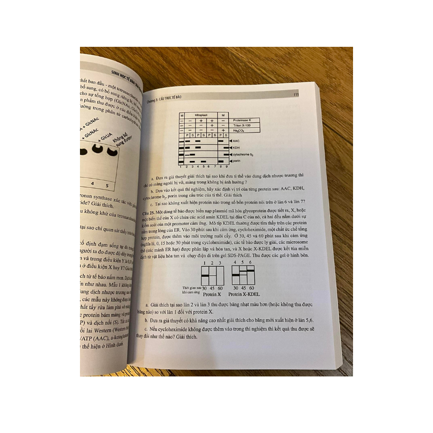 Sách Sinh học tế bào