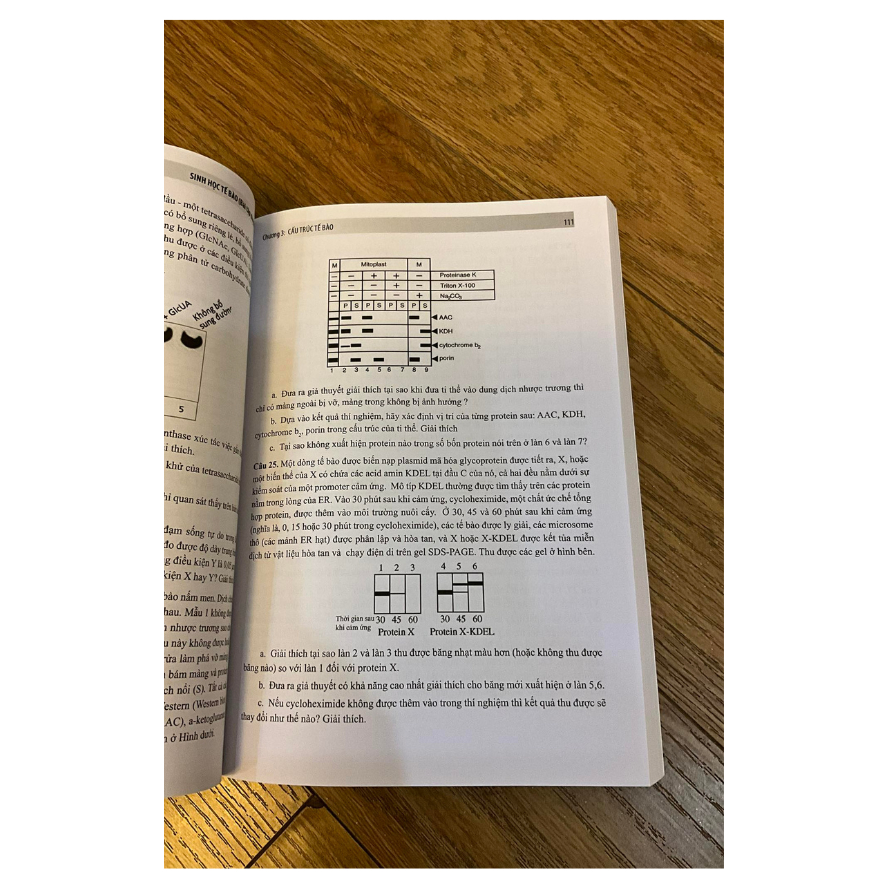 Sách Sinh học tế bào