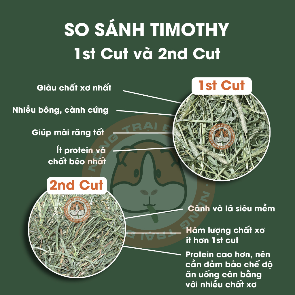 Cỏ Timothy Cho Thỏ, Bọ Ú, Chinchilla Siêu Mềm Timothy 2nd Cut 500g, 1kg