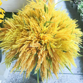 Cành lúa vàng, cành lúa mạch 5 nhánh dài 86cm cành lúa trang trí đẹp S0030