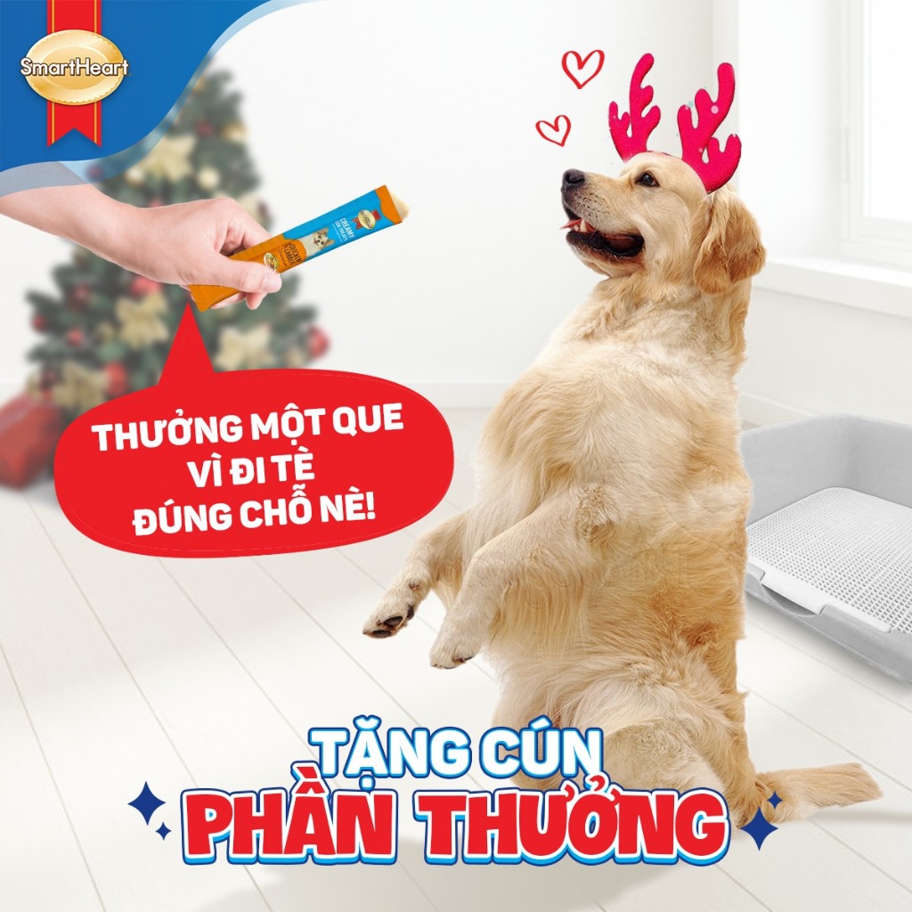 Soup  thưởng cho chó Smartheart gói 4 thanh 15gr - Đủ mùi vị