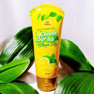 Gel tẩy tế bào chết ở Mặt và Body Tẩy tế bào chết Chanh Bạc Hà Collagen x3 Mỹ Phẩm Đông Anh