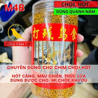 Cám chim họa mi,chích chòe, khướu kích hót, chọi VIP tăng lửa, máu chiến, kích hót đấu M4B
