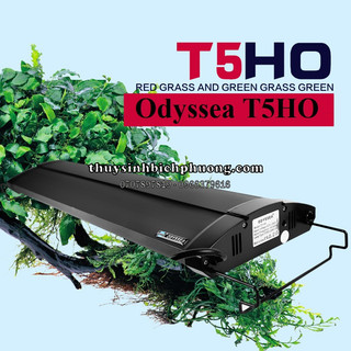 MÁNG ĐÈN ODYSSEA T5HO (4 BÓNG ) - ĐÈN THUỶ SINH THÔNG DỤNG CHO HỒ CÁ THUỶ SINH