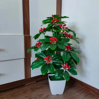 Cây giả cây kim ngân lượng cao 70cm kèm chậu