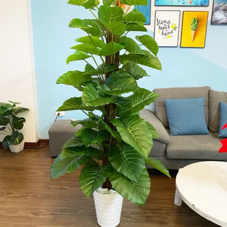 Cây trầu bà giả cao 1m6 gồm 63 tàu lá hàng loại 1