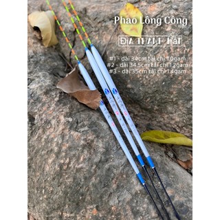 Phao câu cá phao câu đài lông công tiểu thánh hải đồ câu cá